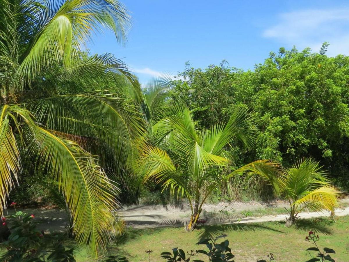 Orchid Cottage By Eleuthera Vacation Rentals Governor S Harbour Extérieur photo