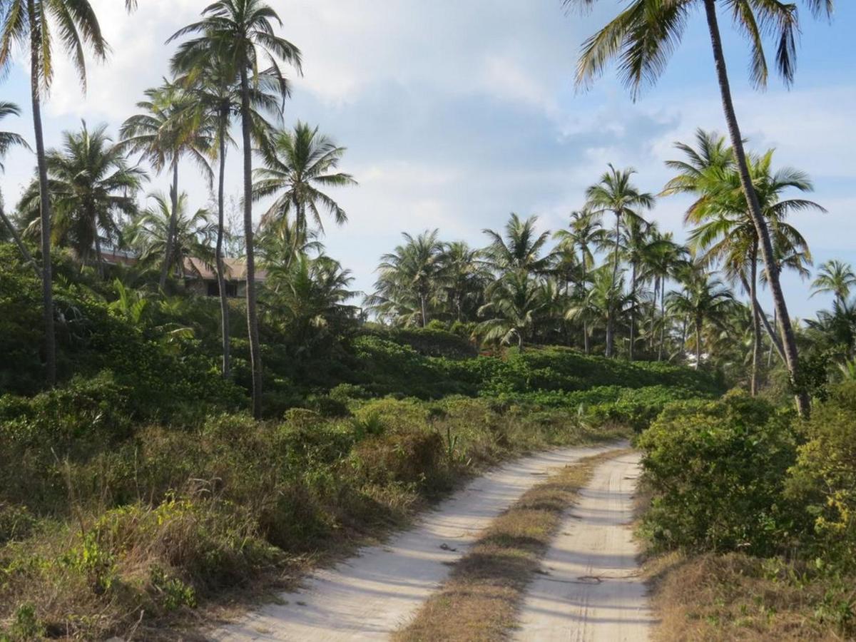 Orchid Cottage By Eleuthera Vacation Rentals Governor S Harbour Extérieur photo