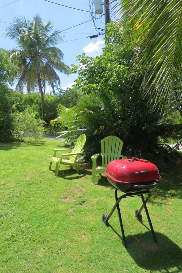 Orchid Cottage By Eleuthera Vacation Rentals Governor S Harbour Extérieur photo